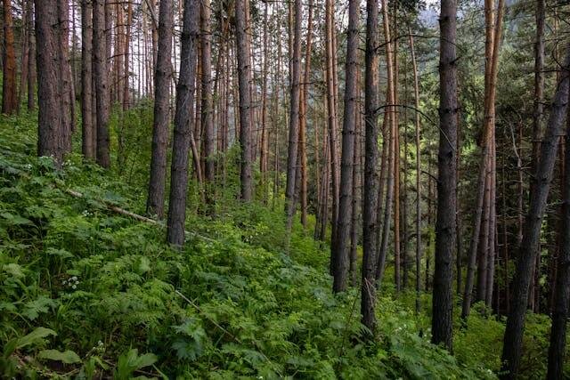 رحلة سياحية الى كازاخستان